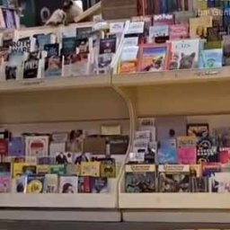 その本屋に入ってはいけない。商品よりも気になるモノが！→時間を忘れて出てこれませ…